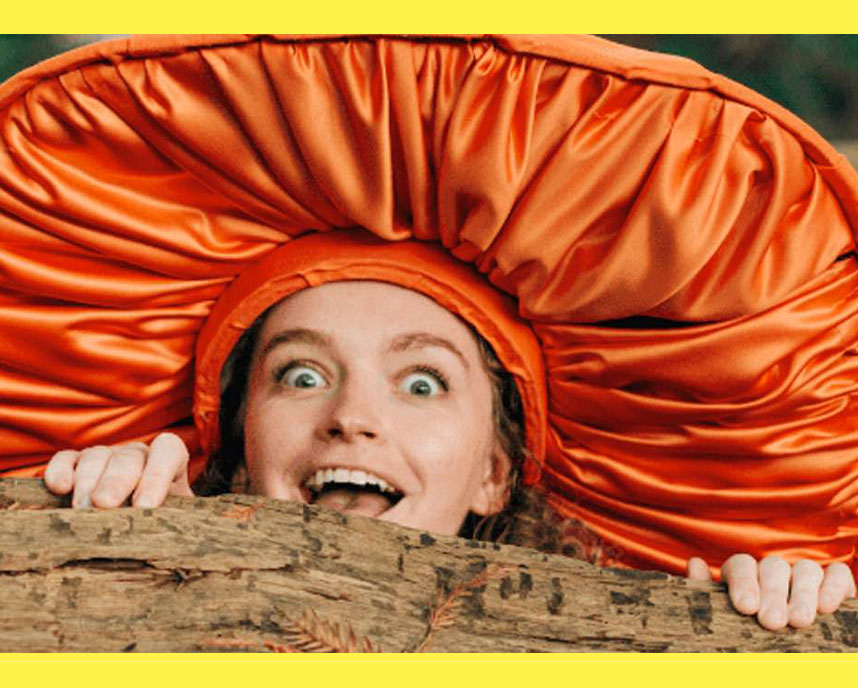 Scratchworks-Mushroom-Show